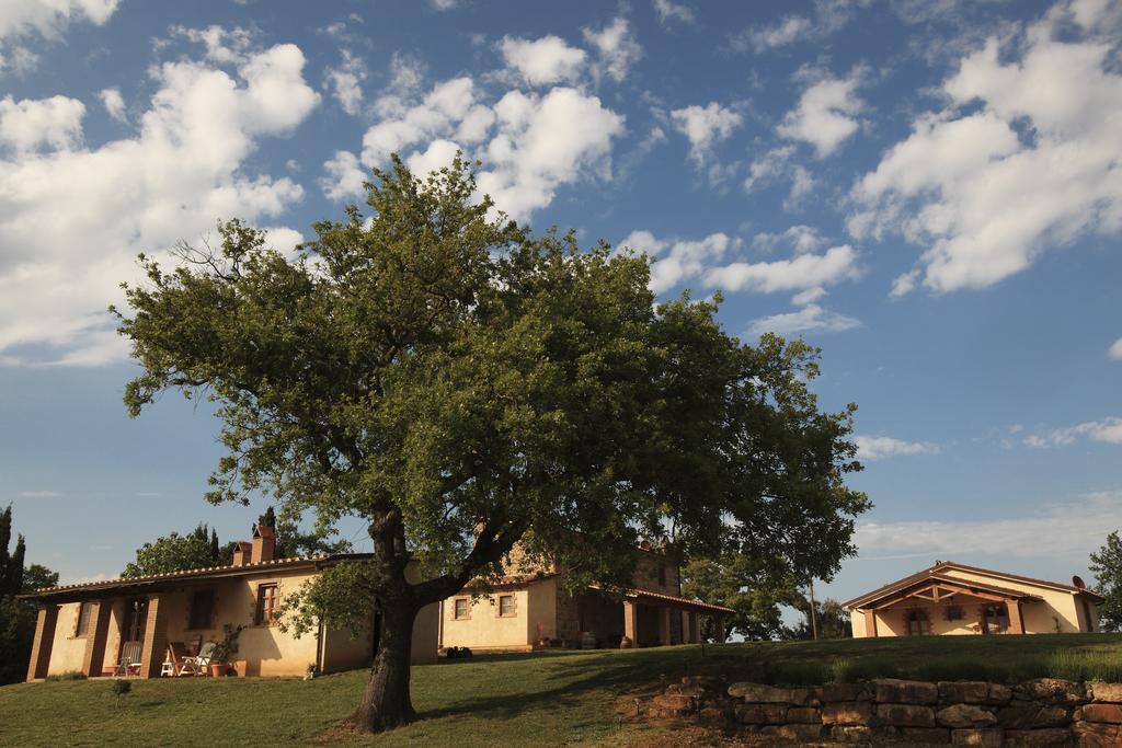Agriturismo Belvedere Di Pierini E Brugi Campagnatico Ngoại thất bức ảnh