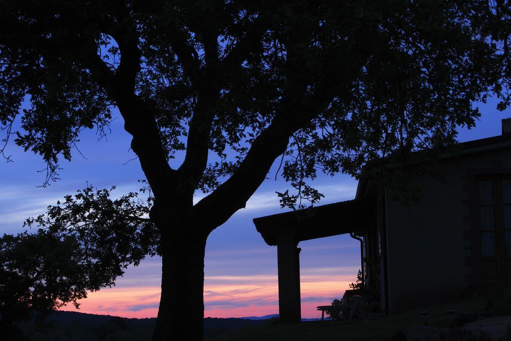 Agriturismo Belvedere Di Pierini E Brugi Campagnatico Phòng bức ảnh